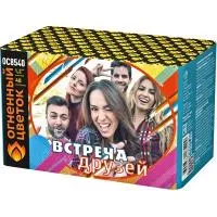Салют Встреча друзей New ОС8541 в Чехове доставка Огненный Цветок